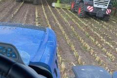 chantier-ensilage-mais1