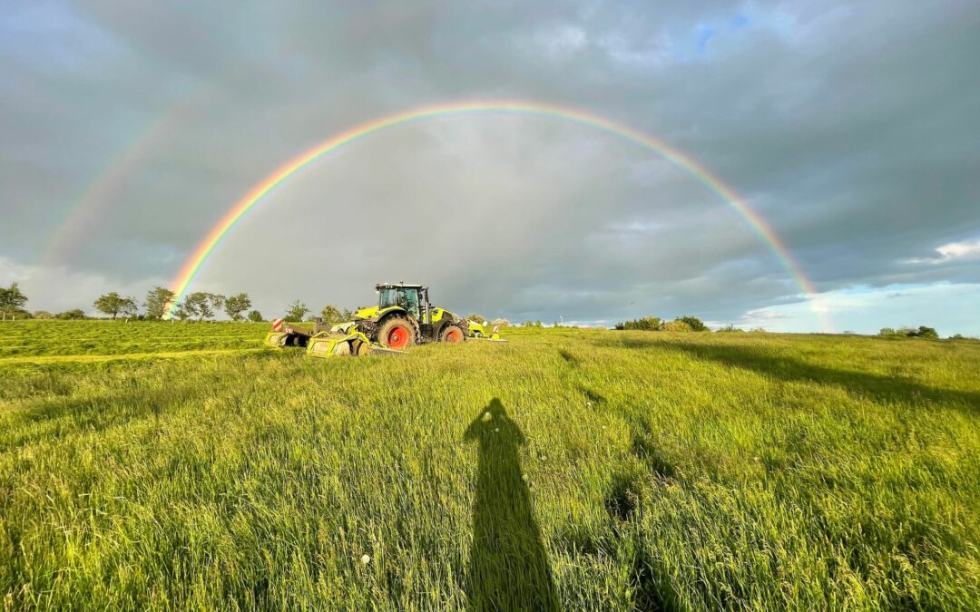 Travaux agricoles à Forbach : notre expertise !