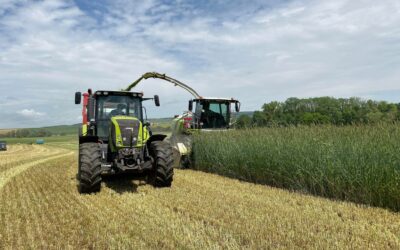 Confier ses travaux agricoles à une entreprise : de nombreux avantages pour les exploitants